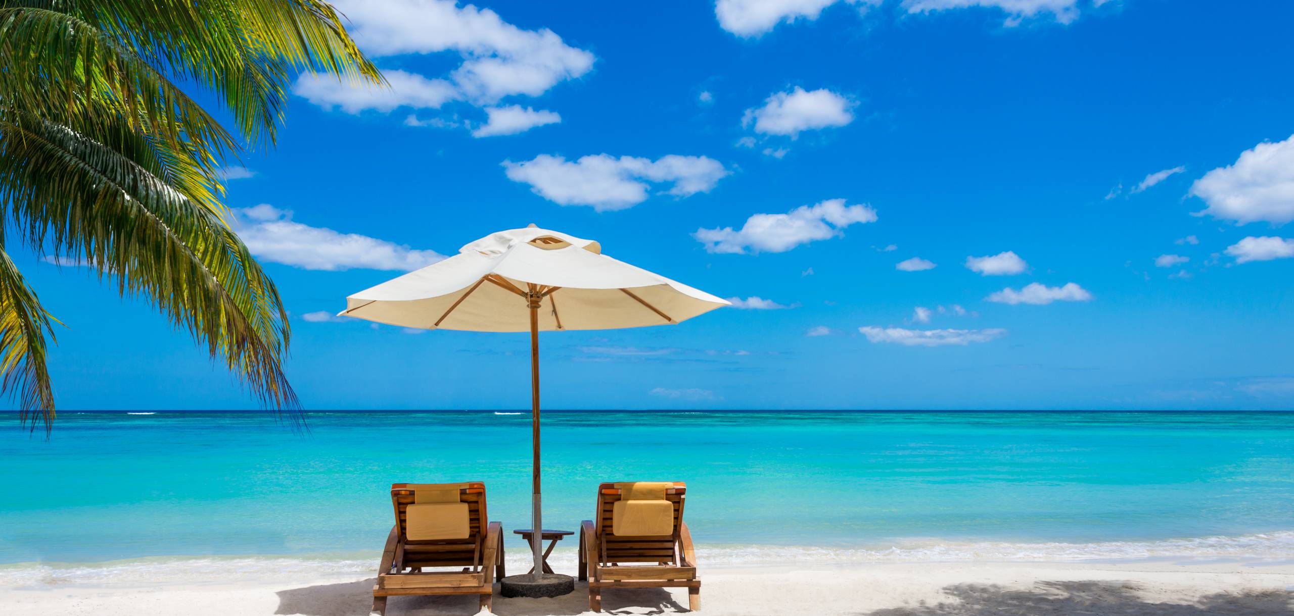 Beach Rentals in Florida and Florida Rental Homes Beach Rentals in Florida and Florida Rental Homes